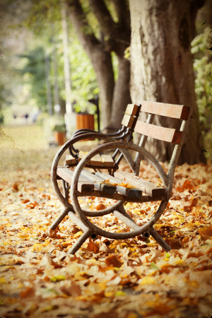 Wooden bench in autumn park - vintage photoの写真素材
