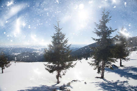 Snow covered winter landscape in the mountainsの写真素材