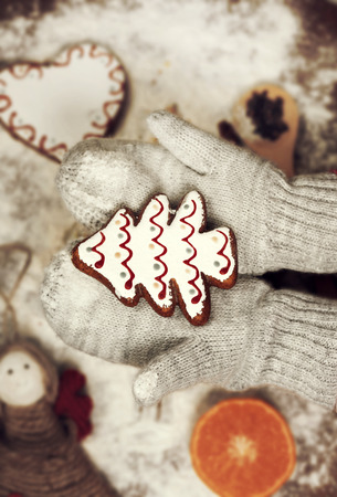 Child's hands in gloves holding gingerbread cookie - Christmas preparations conceptの写真素材