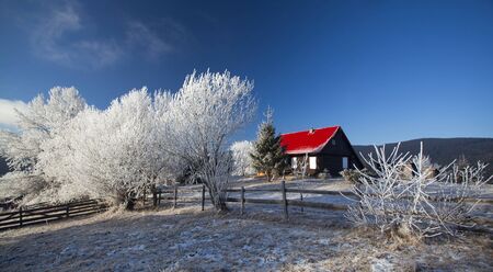 Winter rural landscape. Hoar-frost on trees