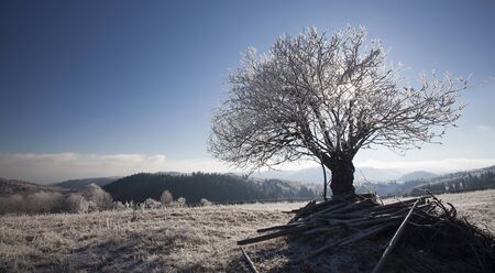 Winter mountain landscape in the Carpathians. Hoar-frost on the treesの写真素材