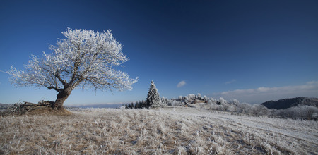 Winter mountain landscape in the Carpathians. Hoar-frost on the treesの写真素材