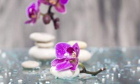 Spa still life with pink flowers and white zen stone on dark backgroundの写真素材