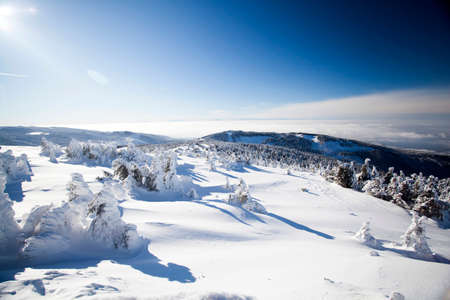 Snow covered hills and pine trees in the mountains in a bright morningの写真素材