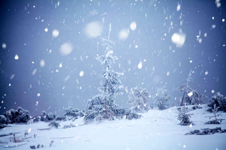 Christmas and New Year background with winter trees in mountains covered with fresh snow - Magic...