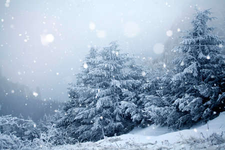 Christmas and New Year background with winter trees in mountains covered with fresh snow - Magic...