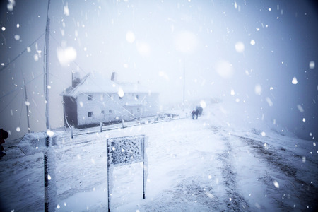 Christmas and New Year background with winter trees in mountains covered with fresh snow - Magic holiday backgroundの写真素材