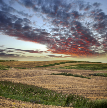 Beautiful landscape of colorful summer fields and stormy skyの写真素材