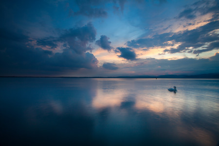 Idyllic sunset over Lake Garda with beautiful swans on the lakeの写真素材