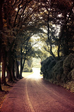 Vintage photo of pathway in summer parkの写真素材