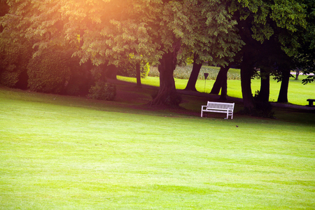 White bench in summer parkの写真素材