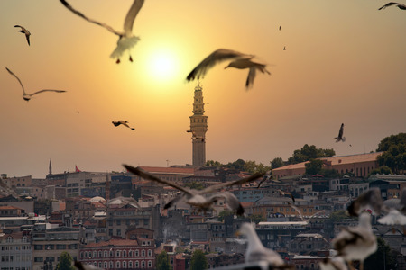 Istanbul cityscape with Suleymaniye Mosque, Turkeyのeditorial素材