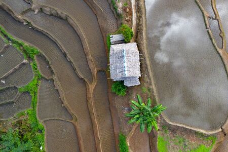Aerial drone view of  terraced rice fields in Thailand.の写真素材