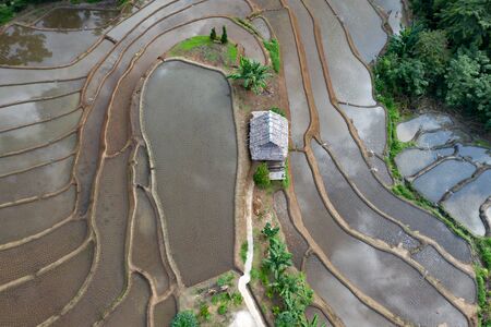 Aerial drone view of  terraced rice fields in Thailand.