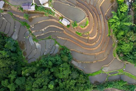 Aerial drone view of  terraced rice fields in Thailand.の写真素材