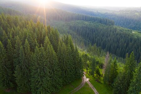Aerial view of beautiful summer sunset over pine forest in the Transylvanian mountains.