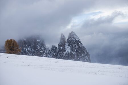 Beautful snowy mountains in Alpe di Siusi, Dolomite mountains -の写真素材