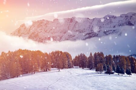 Magic winter landscape, background with snowfall at sunset. Fairy wintry scene. Alpe di Siusi or...