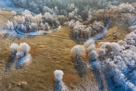 Aerial view of idyllic winter landscape with frozen trees in Transylvania. Winter is coming concept.の写真素材