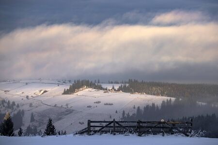 Fantastic winter landscape with snowy trees. Carpathian mountains, Romania, Europe. Christmas...