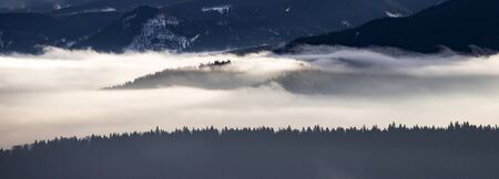 Fantastic winter landscape with snowy trees and fog in the Carpathian mountains, Romania, Europe....