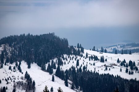 Fantastic winter landscape with snowy trees. Carpathian mountains, Romania, Europe. Christmas holiday concept.の写真素材