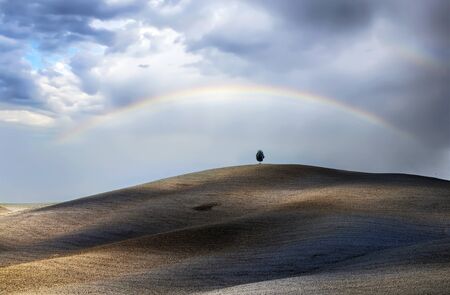 Beautiful Tuscan hills in sunset after harvest. Italy.