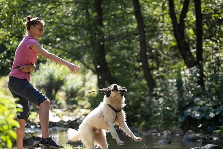 Young woman playing with her dog in the shallow river water in the woods.の写真素材