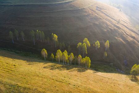 Aerial view of endless lush pastures of Transylvania. Beautiful romanian countryside with emerald...