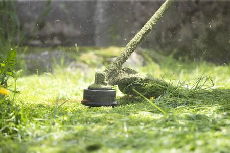 Mowing a lawn with a lawn mower. Garden work concept background.