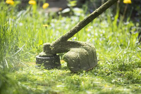 Mowing a lawn with a lawn mower. Garden work concept background.