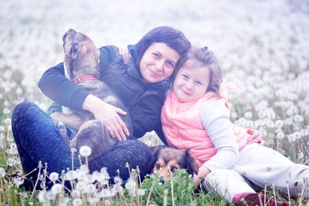 Mother and daughters with cute little dogs posing on the meadow full of fluffy dandelions.の写真素材