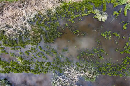 Swamp view from drone. Swampy landscape.の写真素材