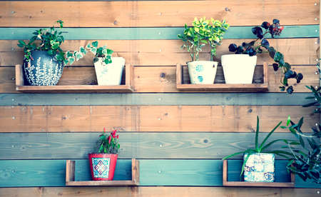 Vintage wooden wall with flower pots. Home rustic decor, cottage living concept.の写真素材