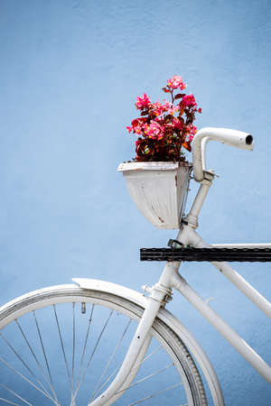 Decorative vintage bicycle and flower pot against blue wall.の写真素材