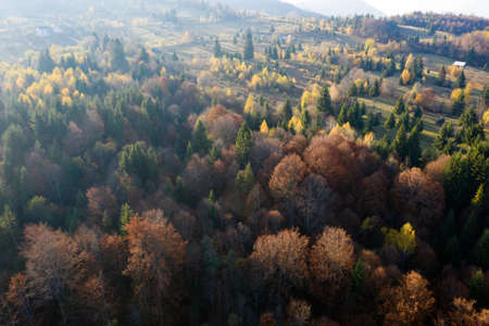 Colorful magic autumn mountain landscape.