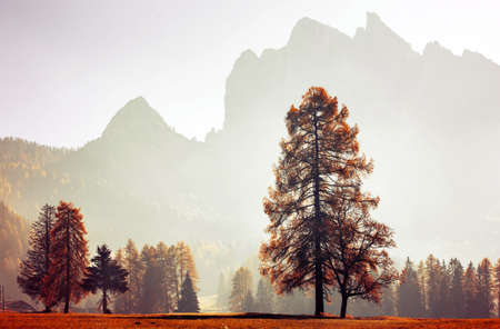 Small cottage in autumn Dolomite mountains.