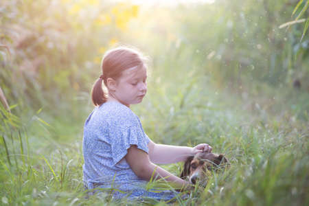 Little adorable girl sitting in colorful flower garden enjoying autumn sunlight with her dog.の写真素材