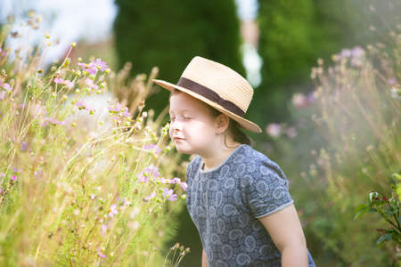 Little caucasian girl in cosmos flower garden.の写真素材
