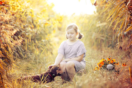 Little adorable girl sitting in colorful flower garden enjoying autumn sunlight with her dog.の写真素材