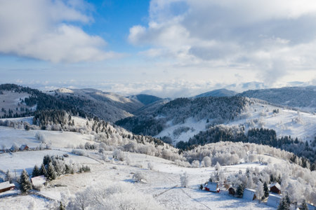Aerial view of idyllic winter landscape with frozen trees in Transylvania. Winter is coming concept.の写真素材