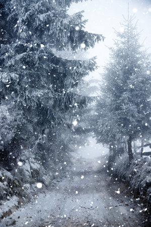 Fantastic winter landscape with snowy road and frozen trees. Christmas holiday and winter vacations...
