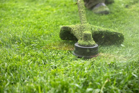 Mowing the grass with a lawn mower. Garden work concept background.