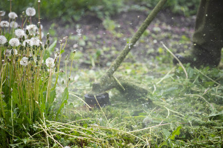 Mowing the grass with a lawn mower. Garden work concept background.