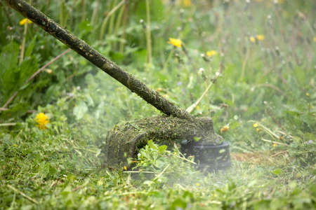 Mowing the grass with a lawn mower. Garden work concept background.