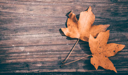 Autumn leaves over wooden background with copy space.