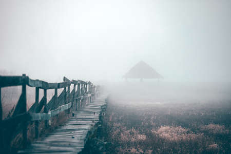 Small narrow path through reed at a lake.の写真素材