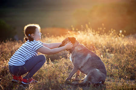 Child with her dog playing and training in summer sunsetの写真素材