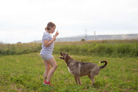 Child with her dog playing and training in summer sunsetの写真素材