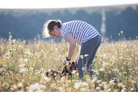 Child with her dog playing and training in summer sunsetの写真素材